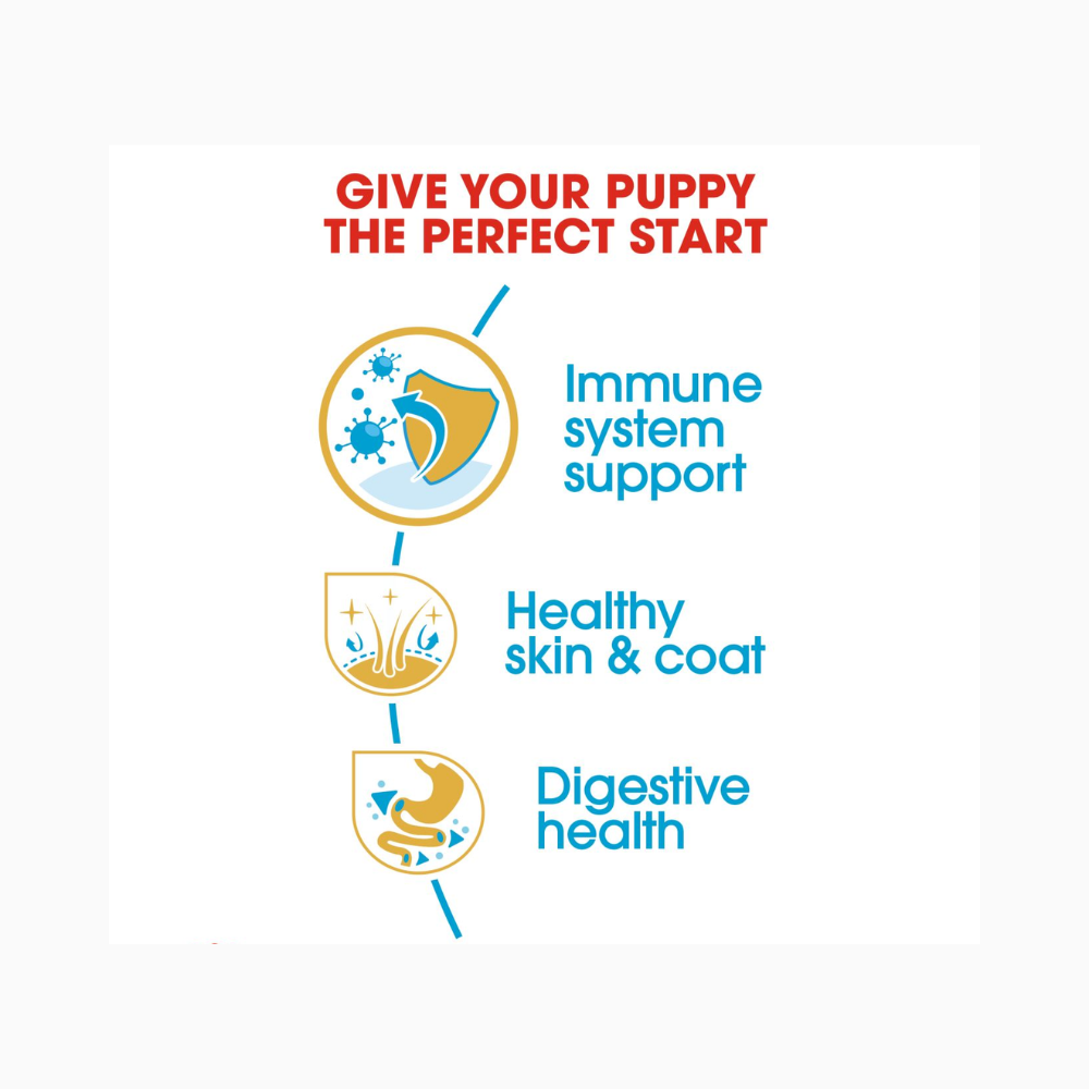 Royal Canin Golden Retriever Puppy