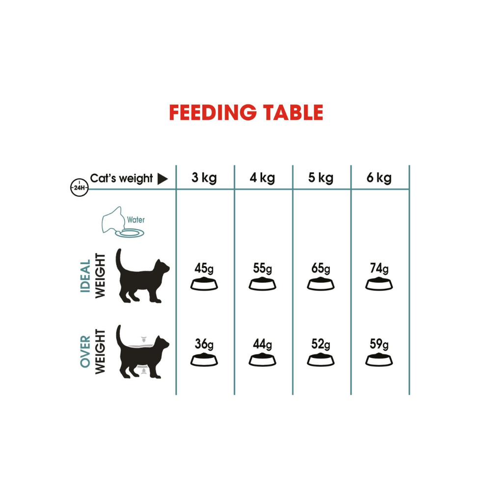 Royal Canin Hairball Care Dry