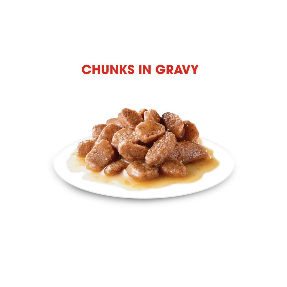 Royal Canin Hairball Care Gravy
