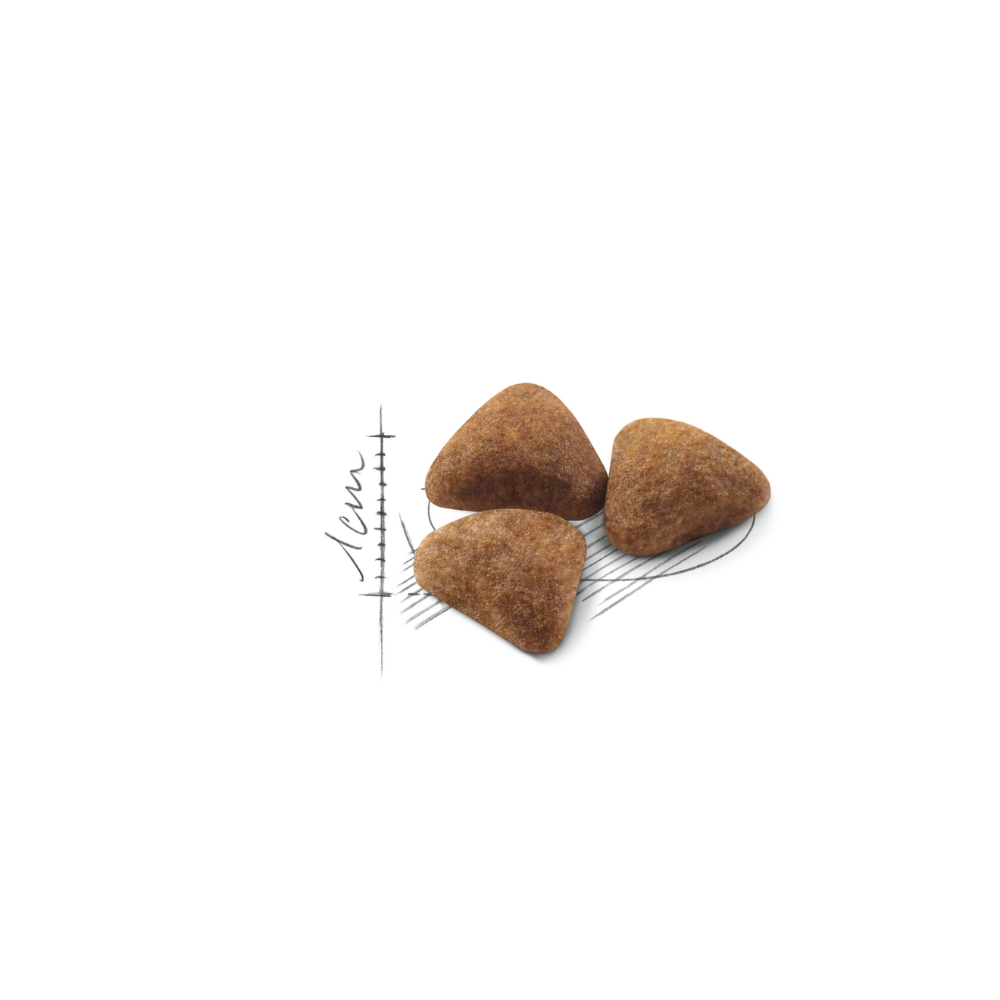 Royal Canin Indoor Adult Dry Cat Food
