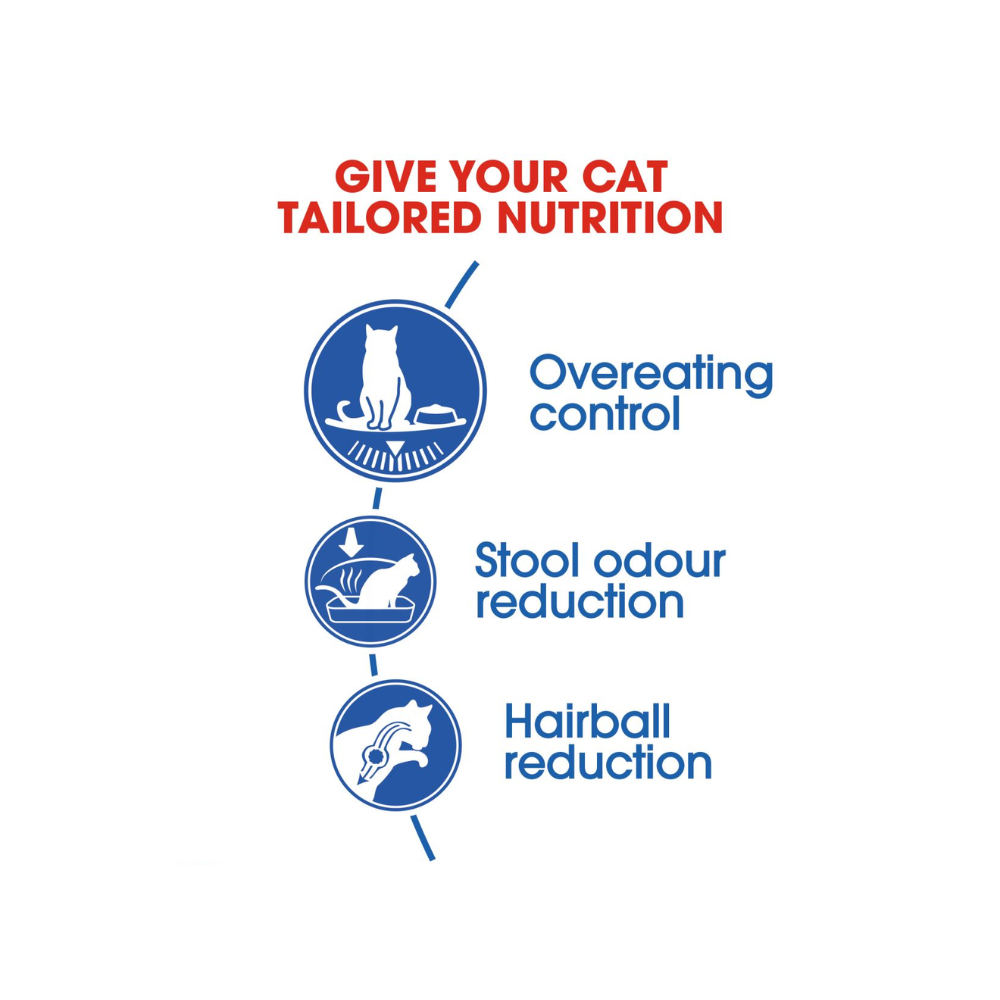 Royal Canin Indoor Adult Dry Cat Food