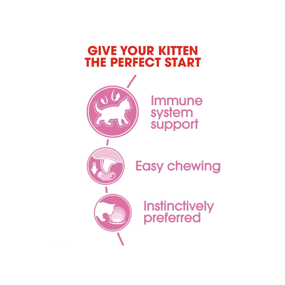 Royal Canin Kitten Wet In Jelly