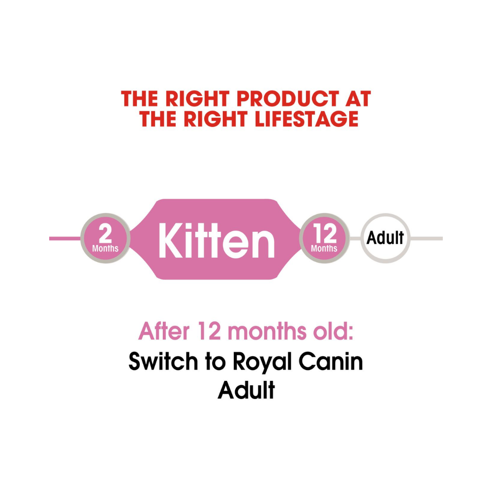Royal Canin Kitten Wet In Jelly