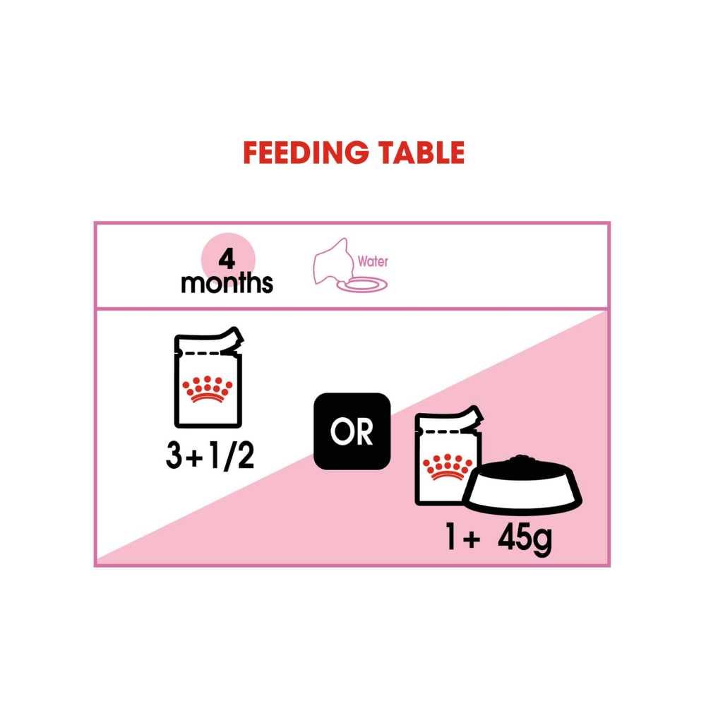 Royal Canin Kitten Wet In Jelly