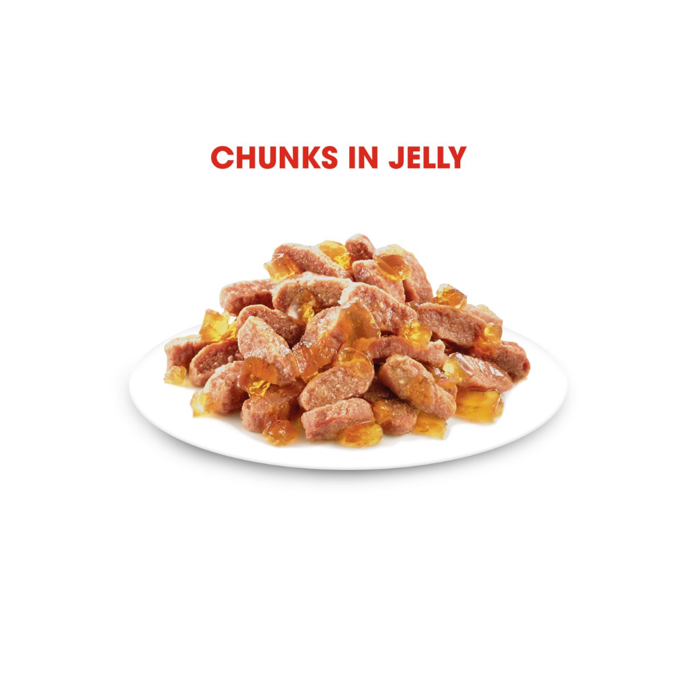 Royal Canin Kitten Wet In Jelly
