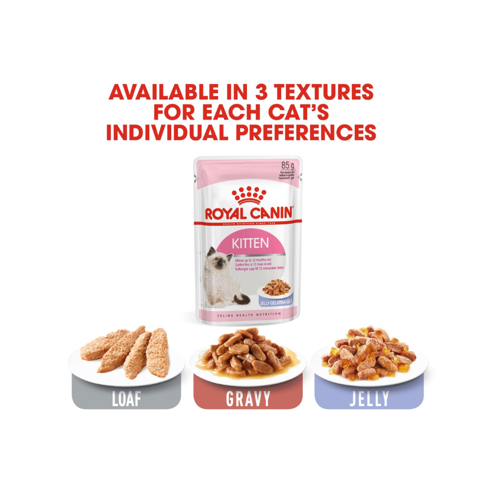 Royal Canin Kitten Wet In Jelly