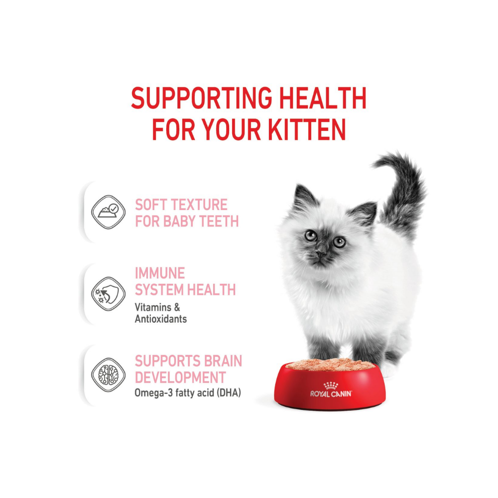 Royal Canin Kitten Wet In Loaf