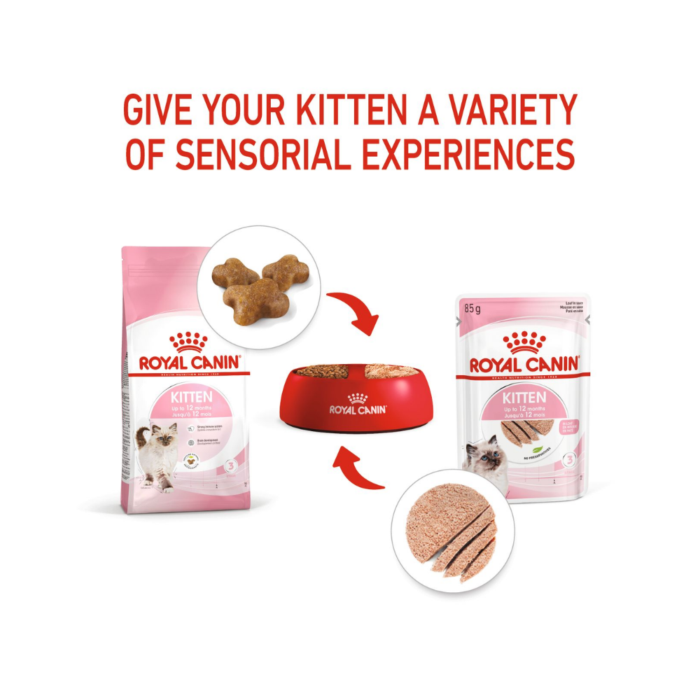 Royal Canin Kitten Wet In Loaf