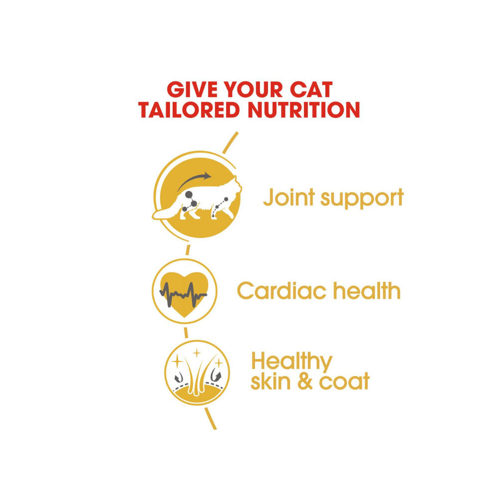 Royal Canin Maine Coon Adult Dry