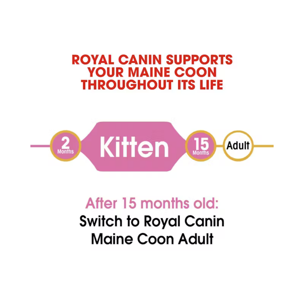 Royal Canin Maine Coon Kitten Dry