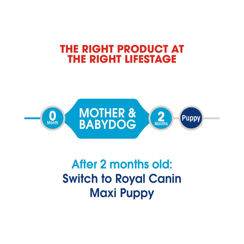 Royal Canin Maxi Starter