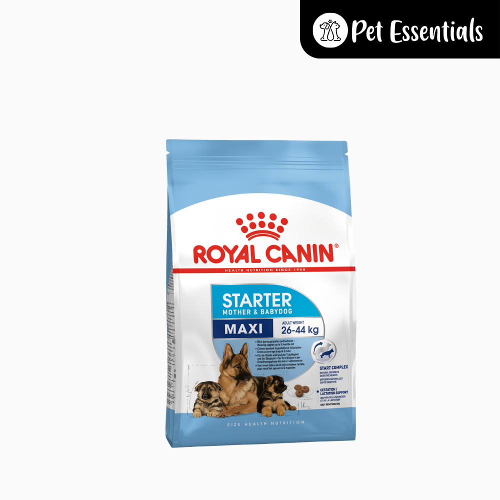 Royal Canin Maxi Starter