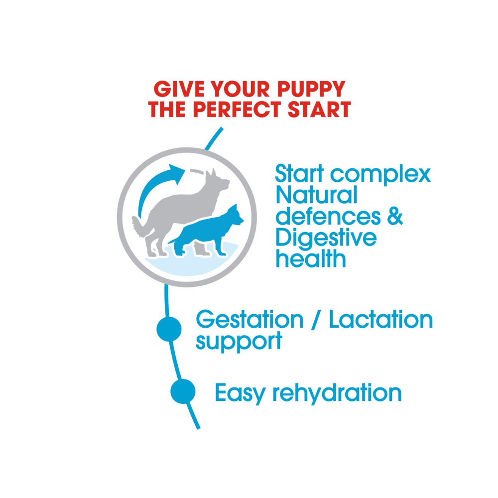 Royal Canin Maxi Starter