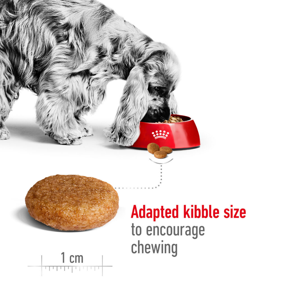 Royal Canin Medium Adult