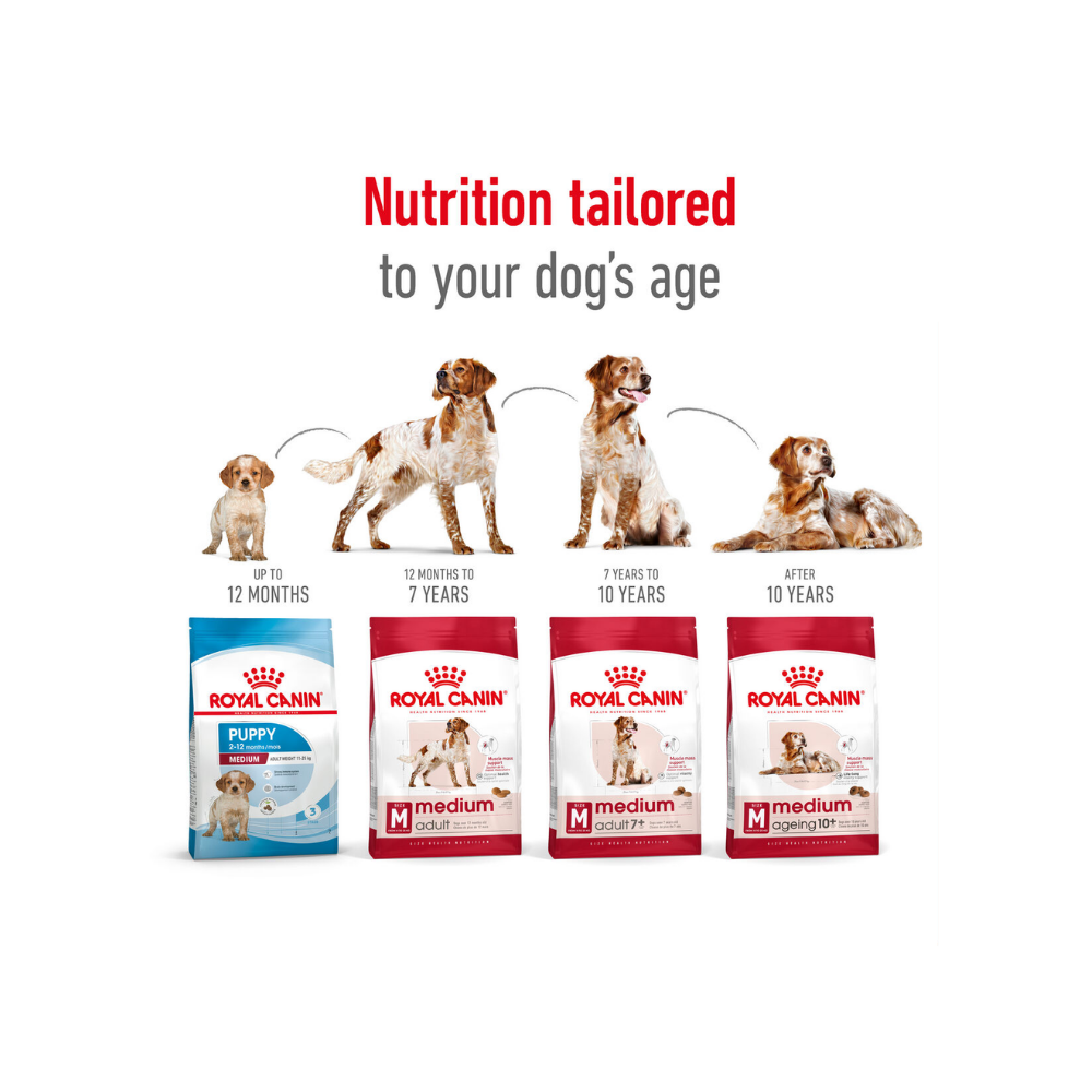 Royal Canin Medium Adult
