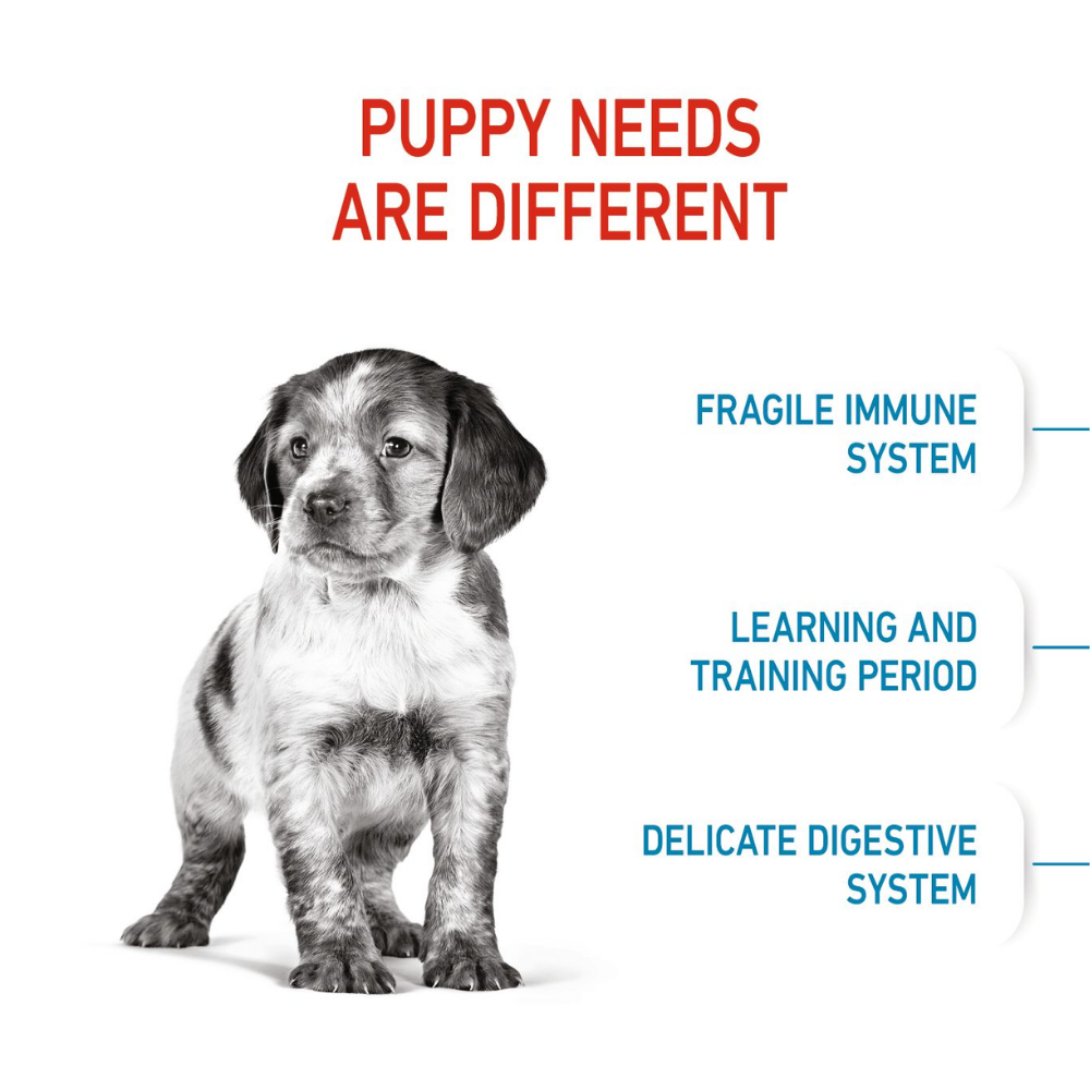 Royal Canin Medium Puppy