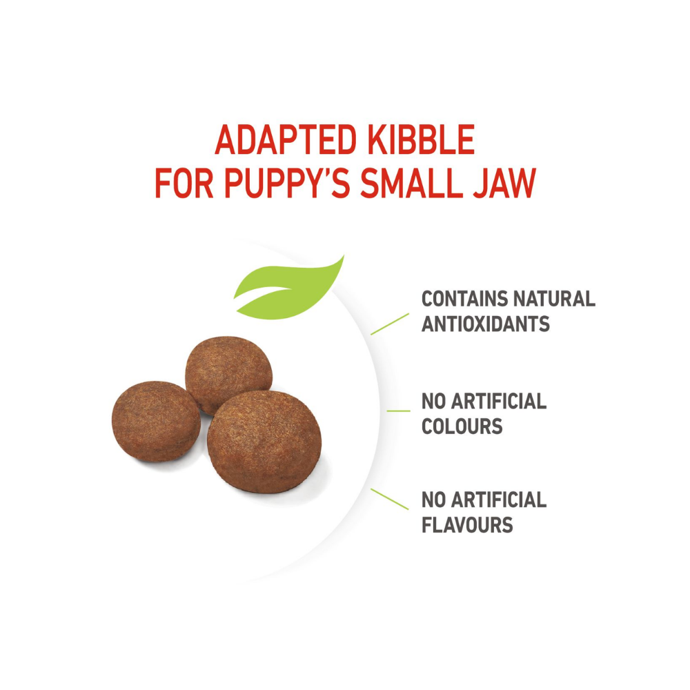 Royal Canin Medium Puppy