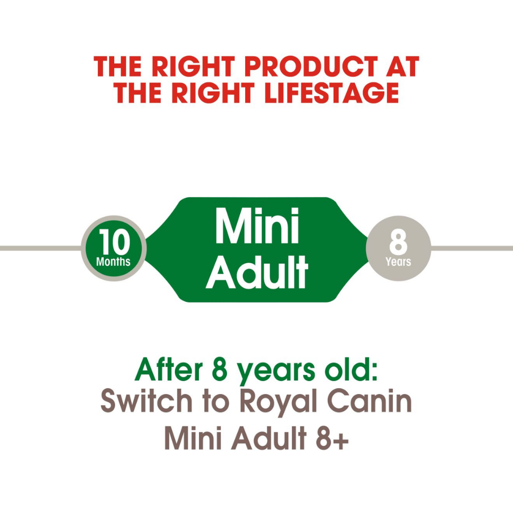 Royal Canin Mini Adult