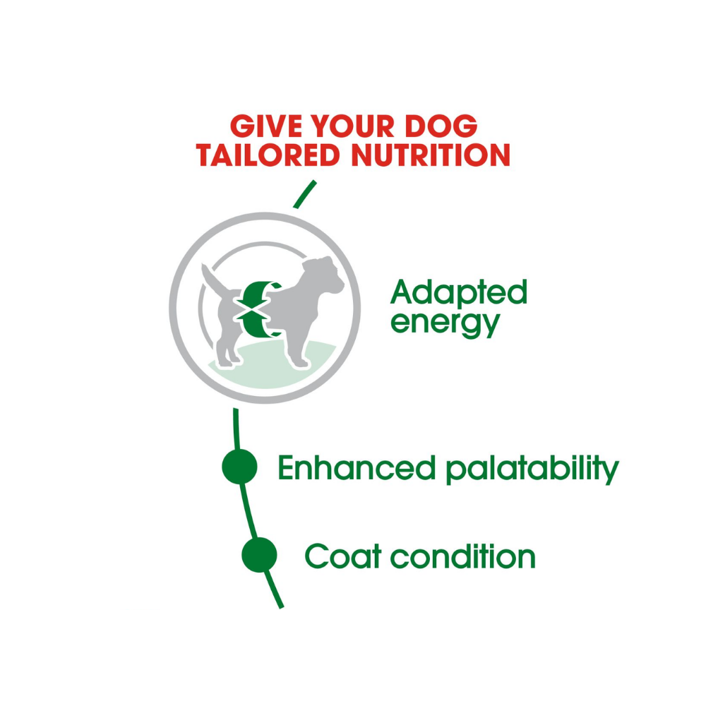 Royal Canin Mini Adult