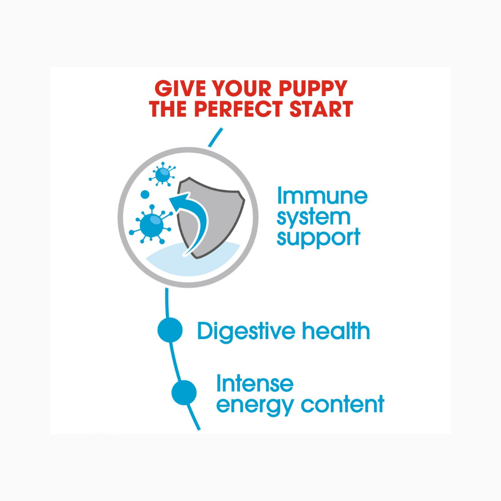 Royal Canin Mini Puppy Pouch