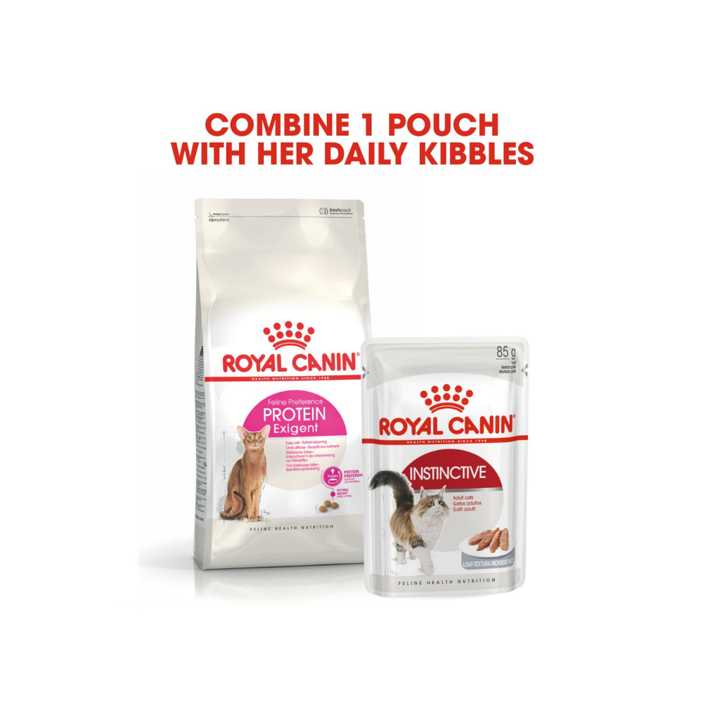 Royal Canin Protein Exigent Cat Dry