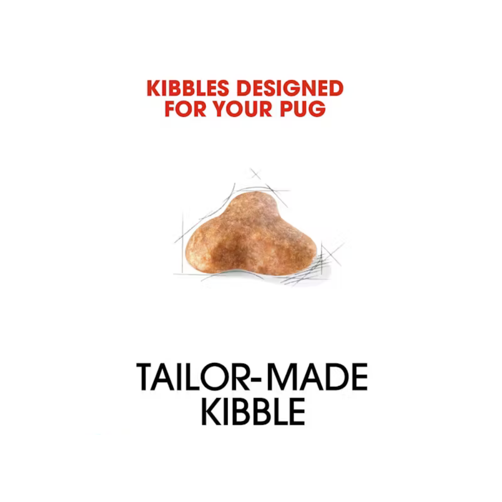 Royal Canin Pug Adult