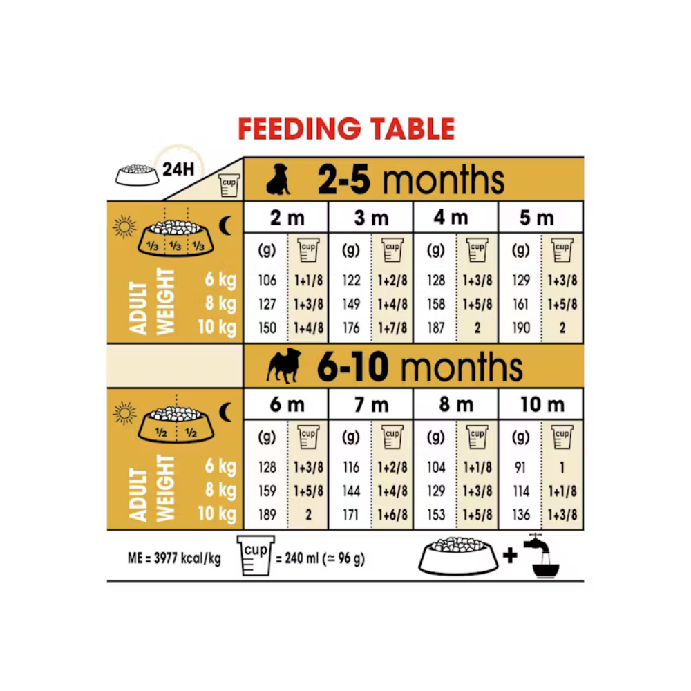 Royal Canin Pug Puppy