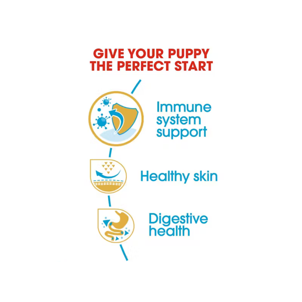 Royal Canin Pug Puppy