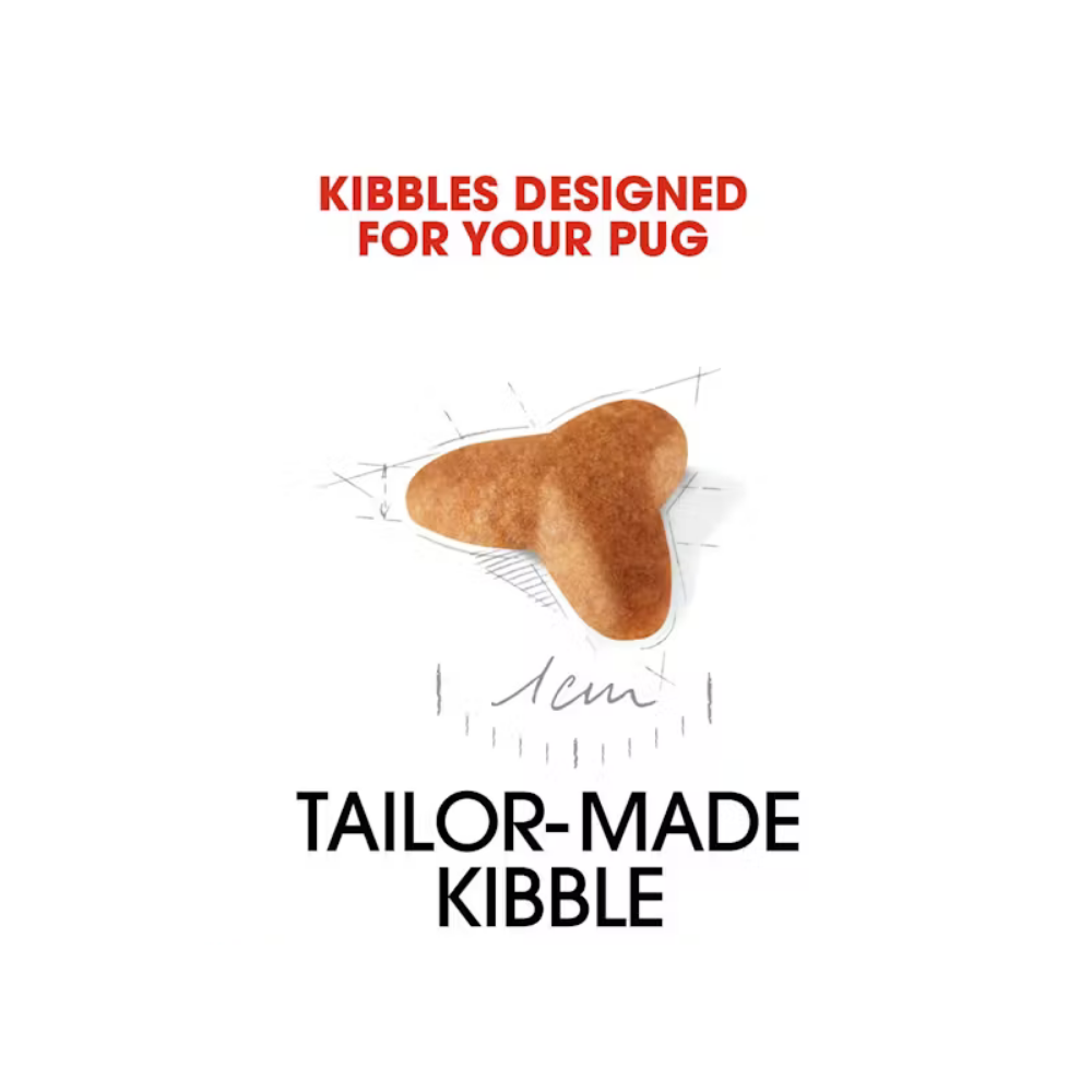 Royal Canin Pug Puppy