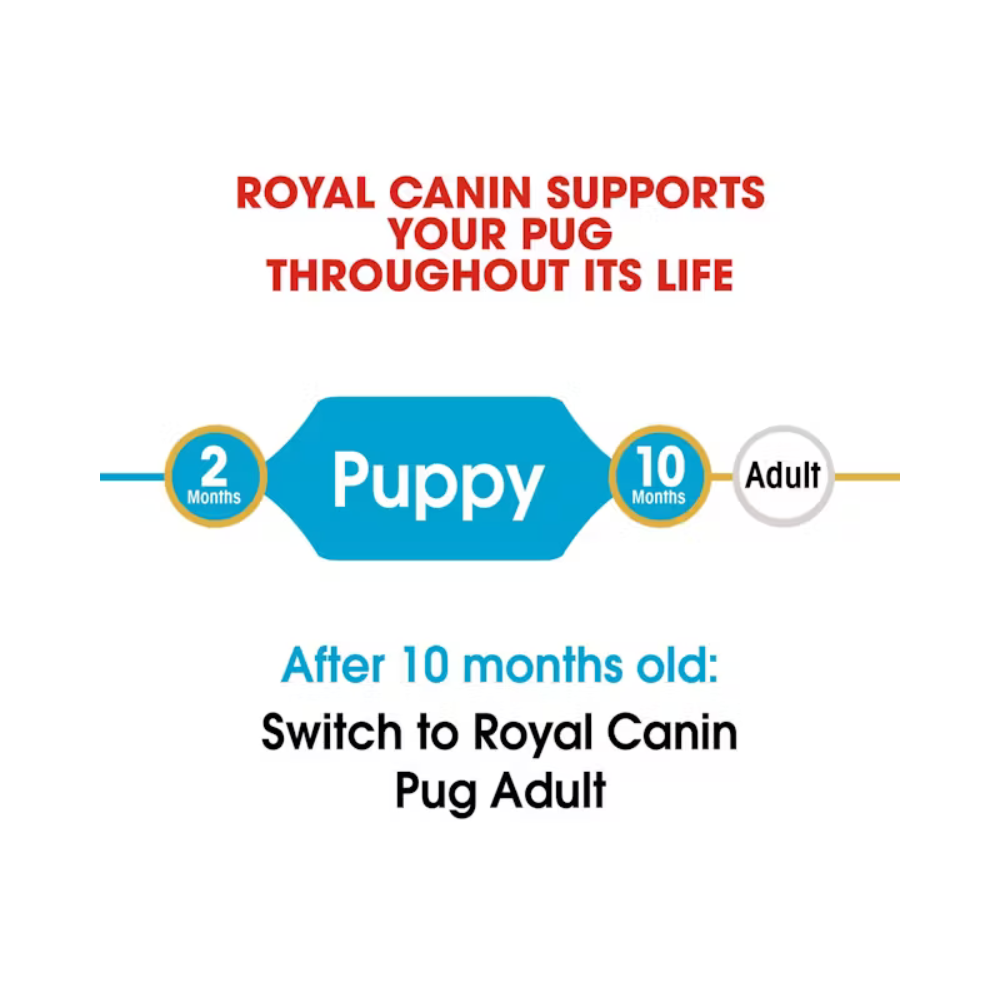 Royal Canin Pug Puppy