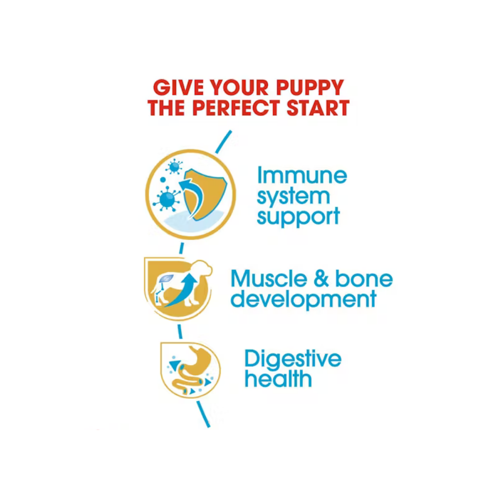 Royal Canin Rottweiler Puppy