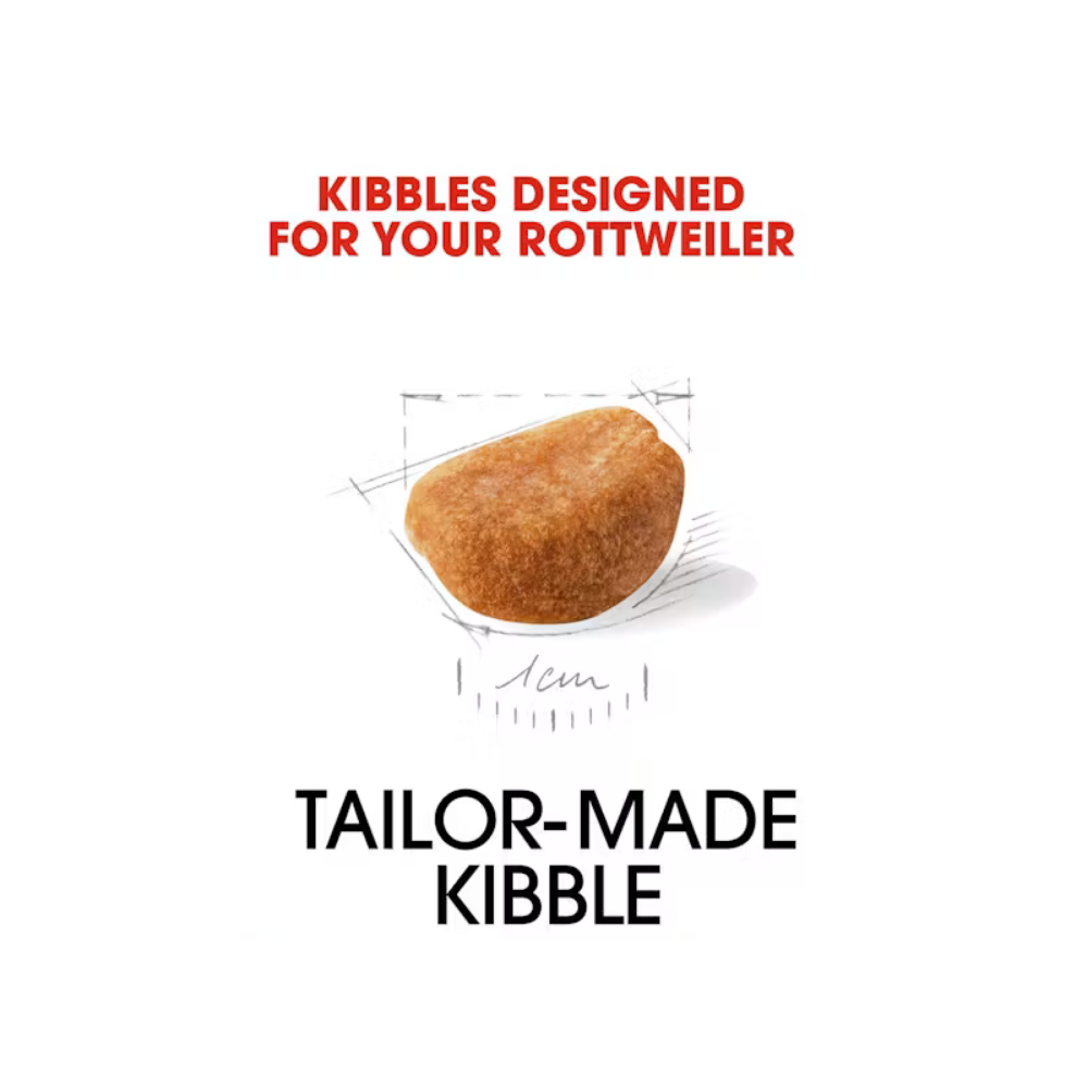 Royal Canin Rottweiler Puppy