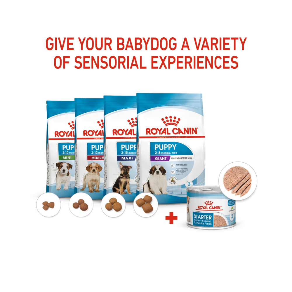 Royal Canin Starter Mousse Mother & Baby