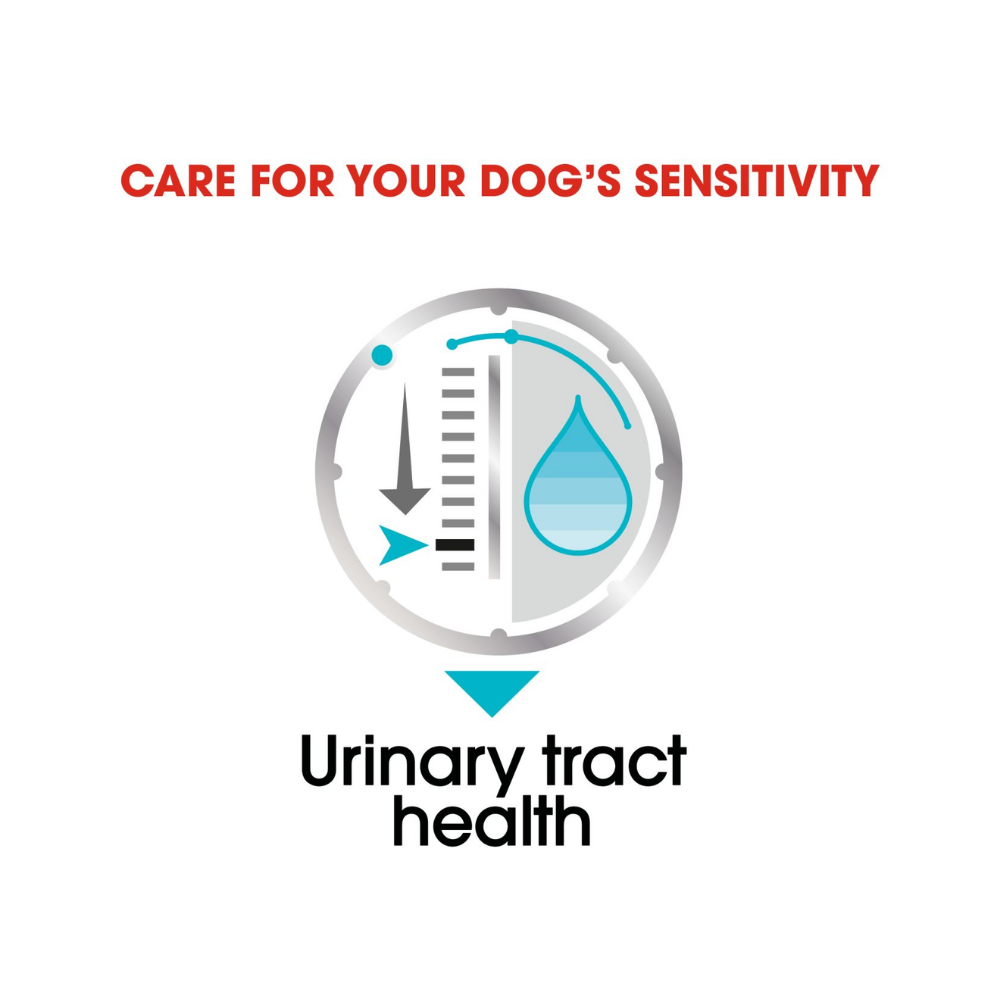 Royal Canin Urinary Care Wet All Dogs