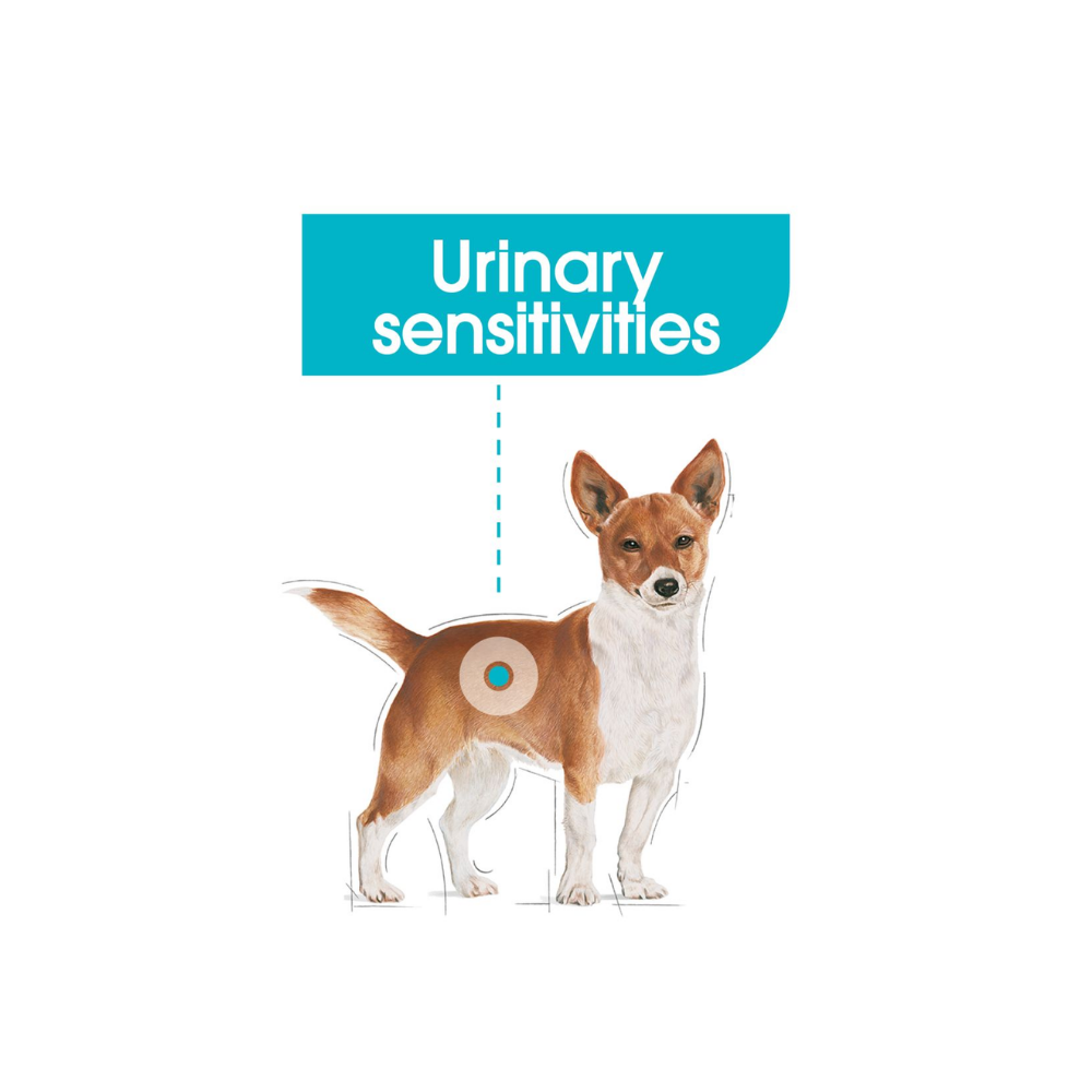 Royal Canin Urinary Care Wet All Dogs