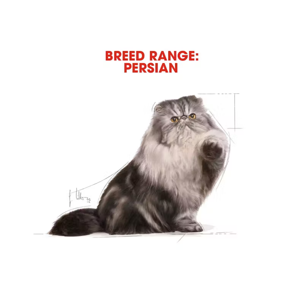 Royal Canin Urinary SO Loaf Cat Wet Pouch
