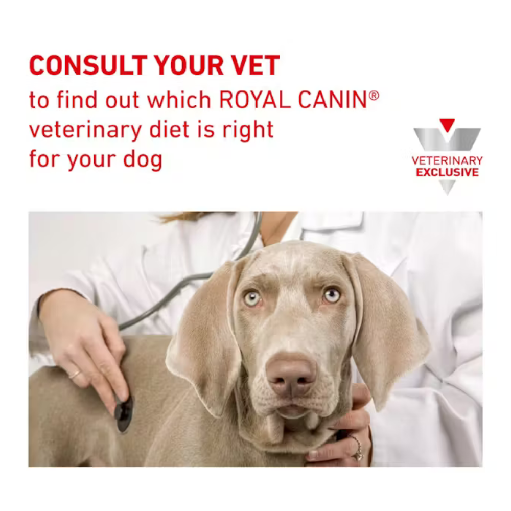 Royal Canin Urinary SO® Loaf