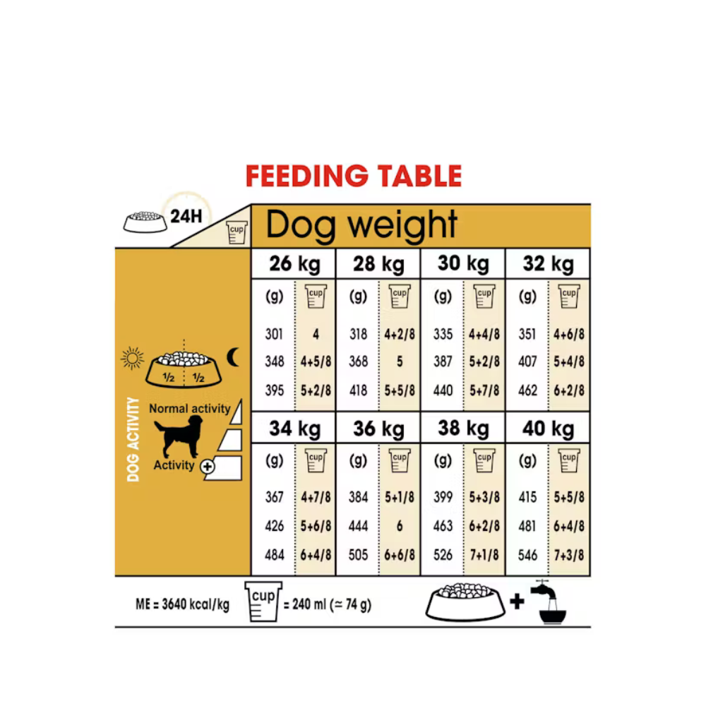 Royal Canin Labrador Retriever Adult