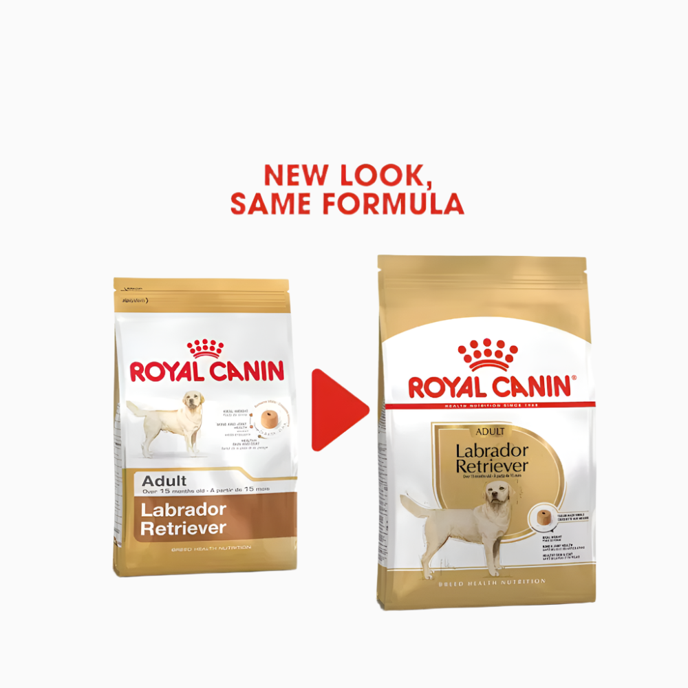 Royal Canin Labrador Retriever Adult