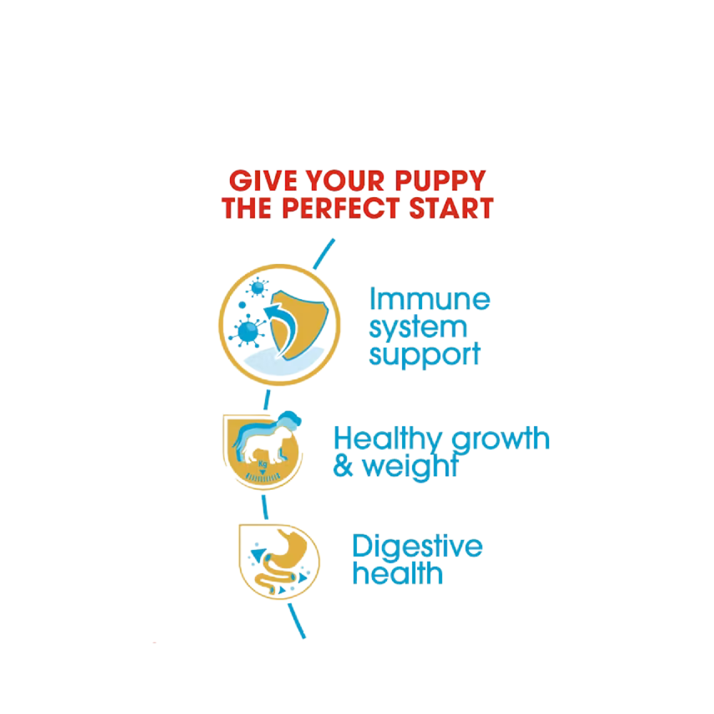 Royal Canin Labrador Retriever Puppy