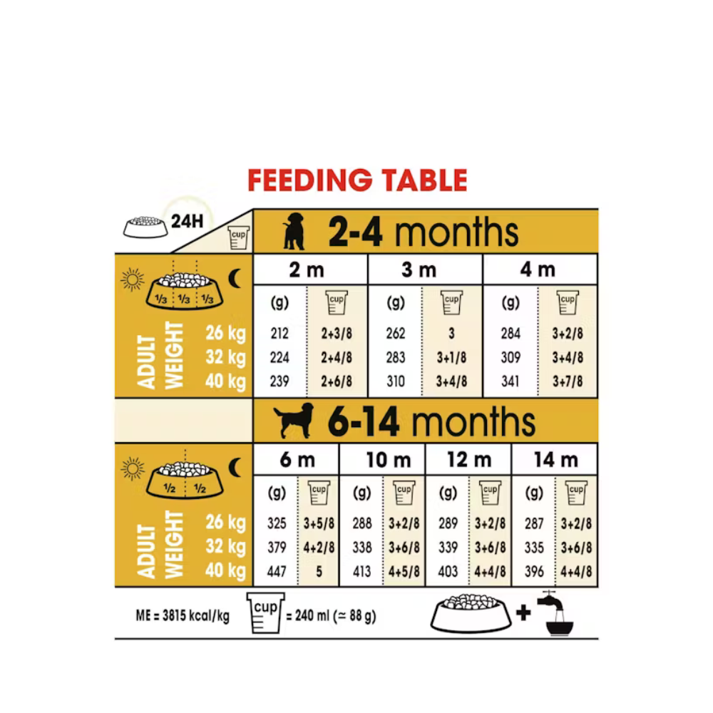 Royal Canin Labrador Retriever Puppy