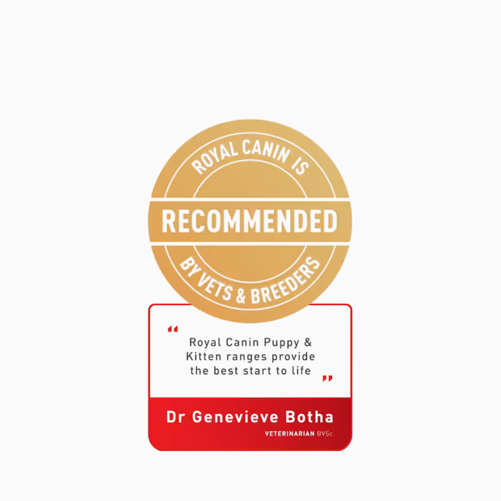 Royal Canin Labrador Retriever Puppy