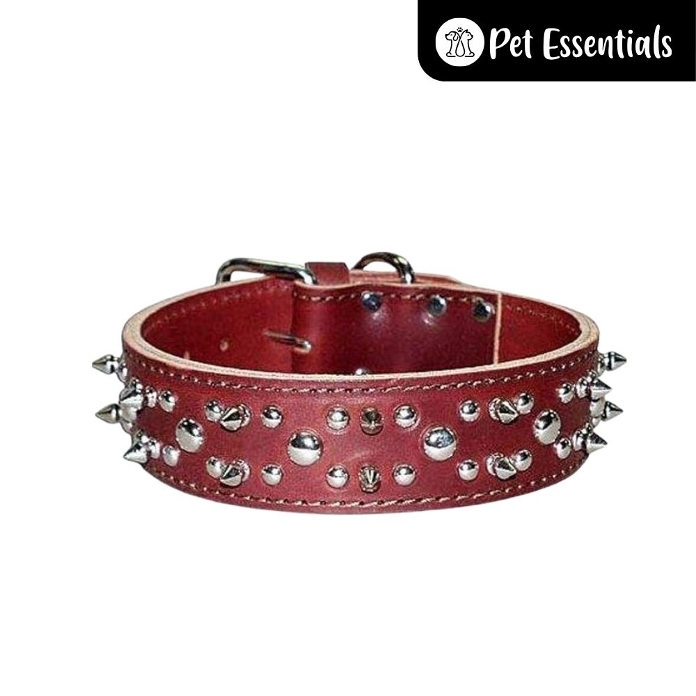 Studded Leather Dog Collar