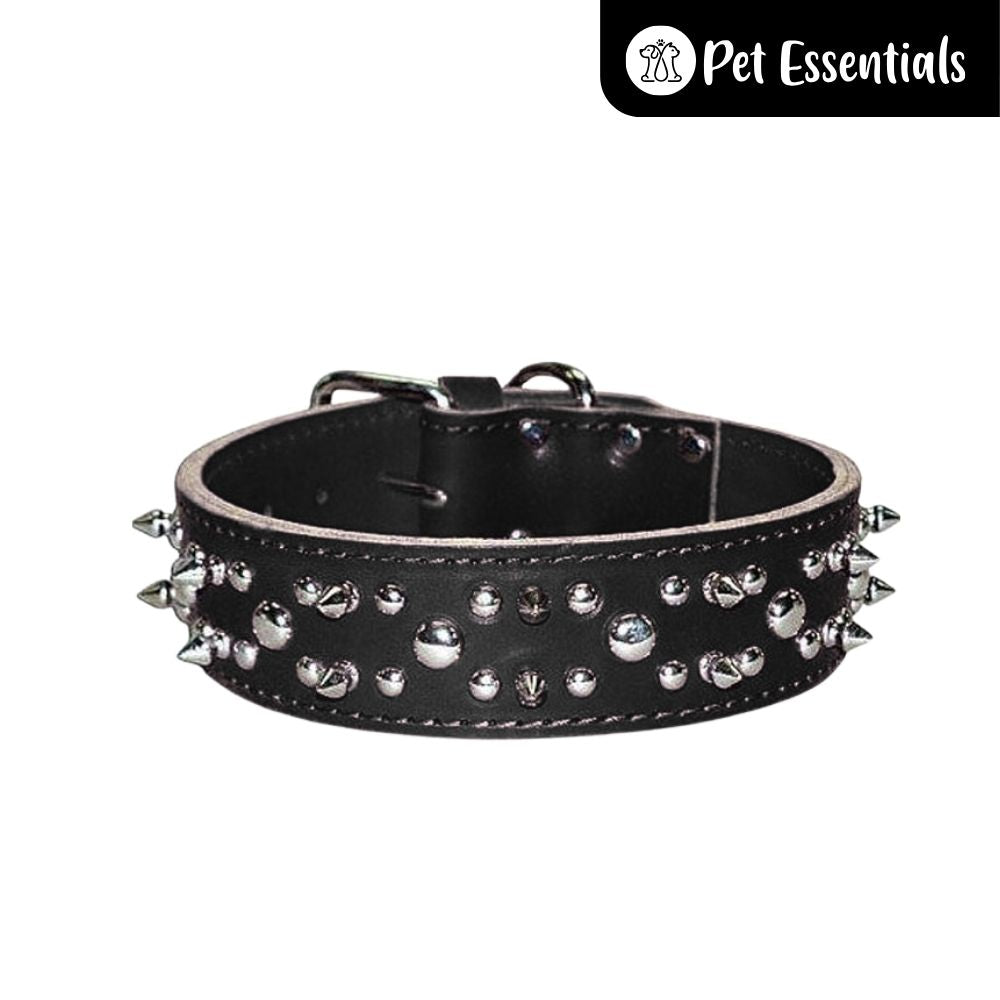 Studded Leather Dog Collar
