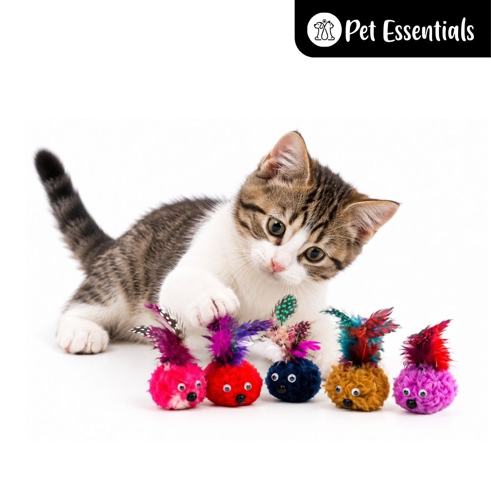 Cat Feather Toy