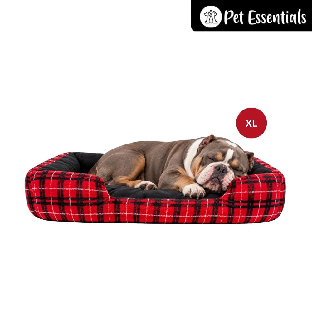 Bed For Cats & Dogs