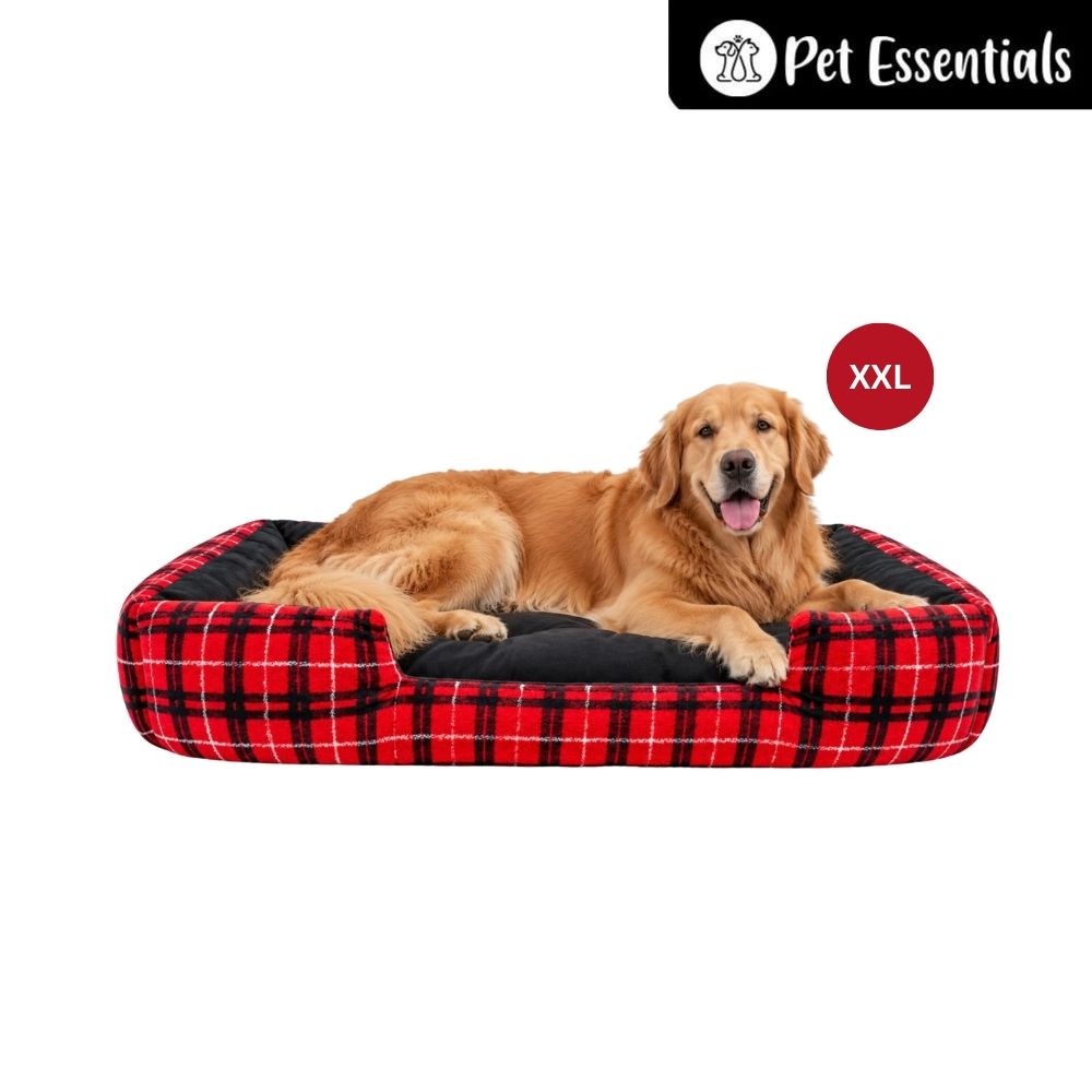 Bed For Cats & Dogs