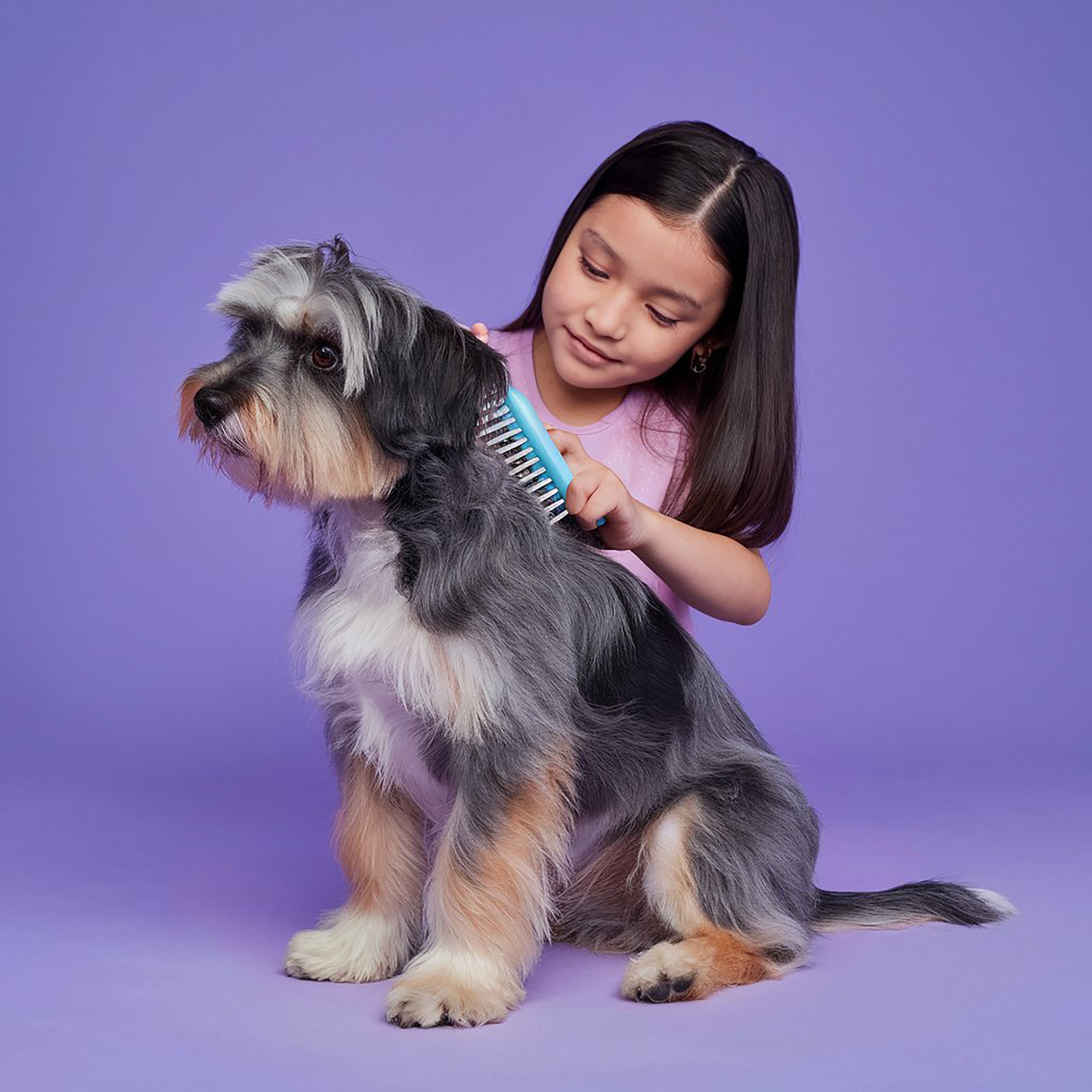 Dog Grooming