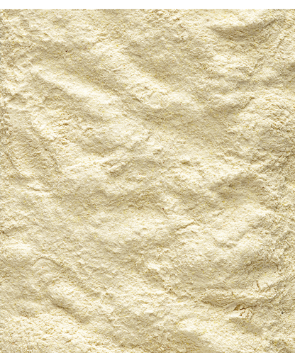 VERSELE - LAGA Nutri Bird Formula A19