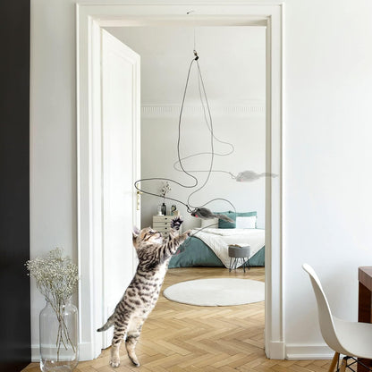 Cat Toy 3